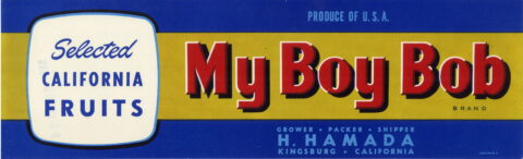 My Boy Bob